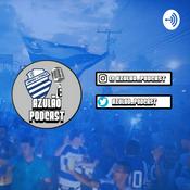 Podcast Azulão Podcast #1 - FEC X CSA | Contratações do CSA em 2019 | Técnicos Estrangeiros no Brasil