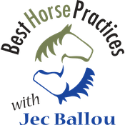 Podcast Best Horse Practices Podcast
