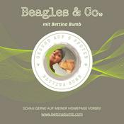 Podcast Bettina Bumb Gesund auf 6 Pfoten | Coachin Mensch + Hund