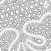 Podcast Binatang Berbicara