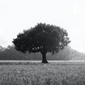 Podcast Black candle asylum(a roleplay podcast)