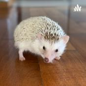 Podcast bloopers lengua