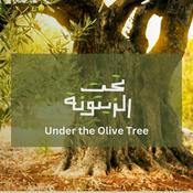 Podcast BuildPalestine: Under the Olive Tree