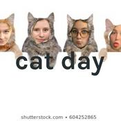 Podcast cat day