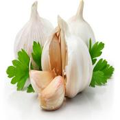 Podcast ЧЕСНОК