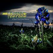 Podcast Crimes of a Decade, A Texas True Crime Podcast