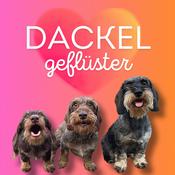 Podcast Dackelgeflüster