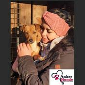 Podcast 🐶 Der Ankerhunde Podcast 🐶