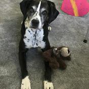 Podcast Der Weg raus aus der Essstörung Du schaffst das auch ❤️