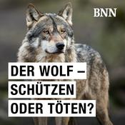 Podcast Der Wolf – schützen oder töten?