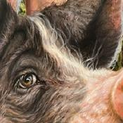 Podcast Die Welt von hinter der Fleischtheke