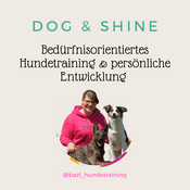Podcast Dog & Shine