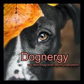 Podcast Dognergy - aus dem Alltag einer Mehrhundehalterin