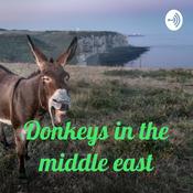 Podcast Donkeys in the middle east