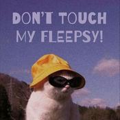 Podcast Don't Touch My FLEEPSY!