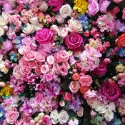 Podcast É sobre isso e mais nada!