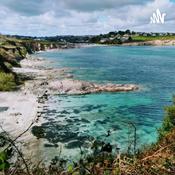 Podcast Everything Aquatic