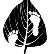Podcast 佛教入門~成佛之道~中道佛學會