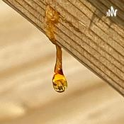 Podcast Frihet kärlek och drömmar