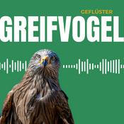 Podcast Greifvogel Geflüster