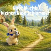 Podcast Gute Nacht Geschichten zum Einschlafen - Hase Schlummer