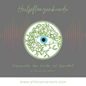 Podcast Heilpflanzenkunde - Wissenswertes über Kräuter und Gesundheit