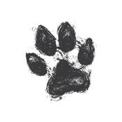 Podcast Holistic Pet Radio