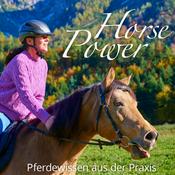 Podcast Horsepower - dein Podcast für Erfolg in der Pferdebranche