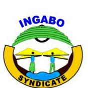 Podcast IBIBAZO BY'INGUZANYO MU BUHINZI