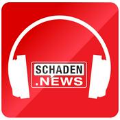 Podcast Insights Schaden-Business