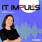 IT ImPuls