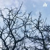 Podcast Jessica’s talking to herself again