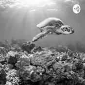 Podcast Killing Nemo