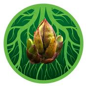 Podcast Knospenkraft und Wurzelspiel