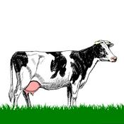 Podcast Kuhles zum Kauen