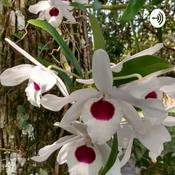 Podcast LIFE BY DESIGN.