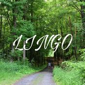 Podcast Lingo With DK