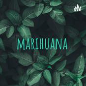 Podcast marihuana