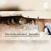 Podcast Meerschweinchen_paradies