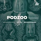 Podcast Metazoa