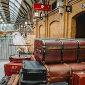 Podcast Muziplik Tamamlandı ⚡ - Podcast