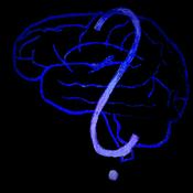 Podcast Mystery Mind