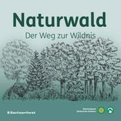 Podcast Naturwald - Der Weg zur Wildnis