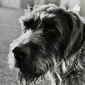 Podcast Neurologie Franz