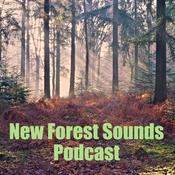 Podcast New Forest Sounds