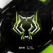 Podcast Non-Fungible Alpha