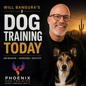 Podcast Will Bangura's Dog Training Today