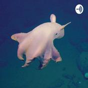 Podcast Podcast- Inglés