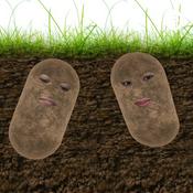 Podcast POTATO: Podcast Tabrak Topik