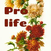 Podcast Pro life